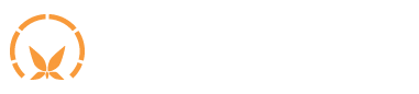 Springbeats